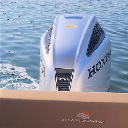 Guest House Greta Appartamento *